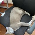 IMG-20190807-WA0003