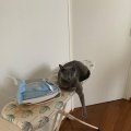 IMG-20190808-WA0000