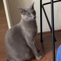 IMG-20190831-WA0005