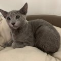 IMG-20191013-WA0004