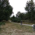 IMG_20210813_144309025