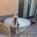 IMG-20220901-WA0001