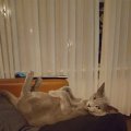 IMG-20220927-WA0002