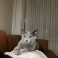 IMG-20221101-WA0002