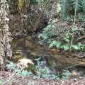 IMG_1951
