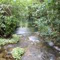 IMG_1956