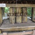IMG_1972