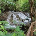IMG_1979