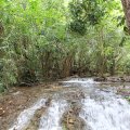 IMG_1984