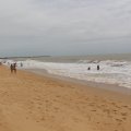 IMG_1901
