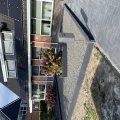 IMG_0114