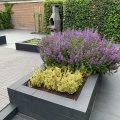 IMG_0023