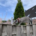 IMG_0024