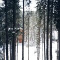 Foto14