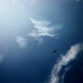 IMG02285215359A