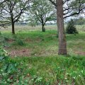 20240527_124623