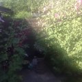 IMG_0072
