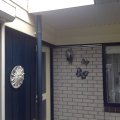 IMG_0087
