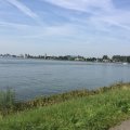 IMG_0333