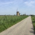 IMG_0339