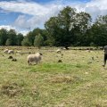 IMG_0624