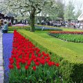 DSC00033
