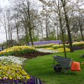 DSC00043