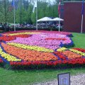 DSC00057
