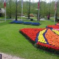 DSC00061