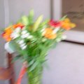 DSC00041