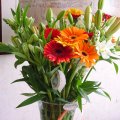 DSC00043