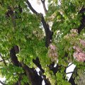 DSC00014