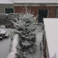 DSC00019