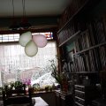 DSC00020