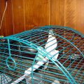 DSC00024