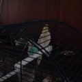 DSC00025