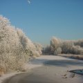 DSC00006