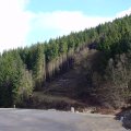 DSC00035