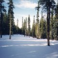 IMG02289212154A