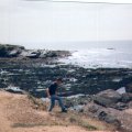 IMG02285225634A