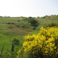 IMG_0184