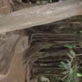 IMG_0191