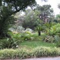 IMG_0192
