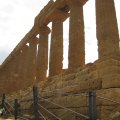 IMG_0203