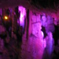 IMG_0256