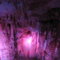 IMG_0258
