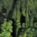 IMG_0285