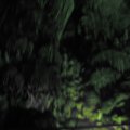 IMG_0286