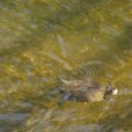 IMG_1187