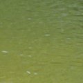 IMG_1189